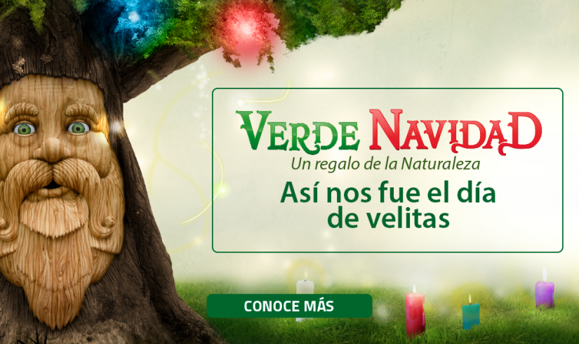 Así nos fue el día de Velitas