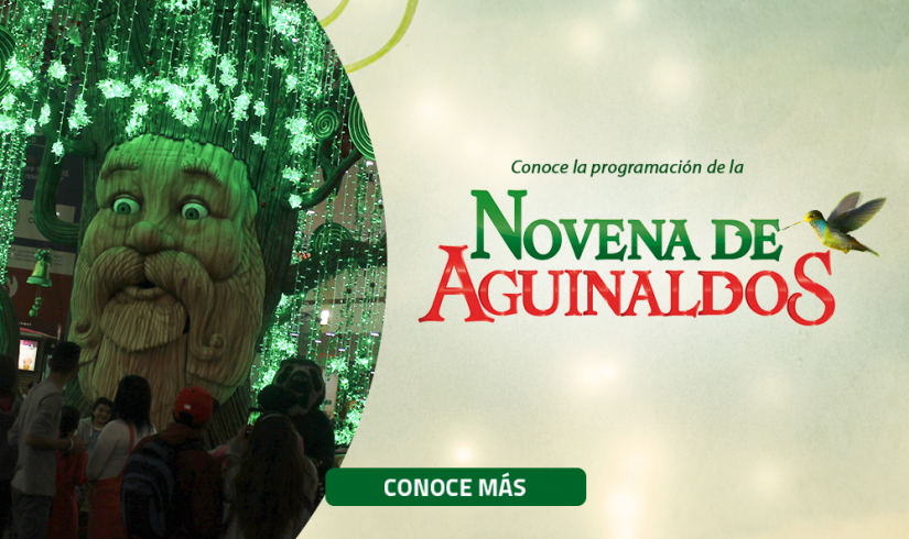 Disfruta de las Novenas de Aguinaldos