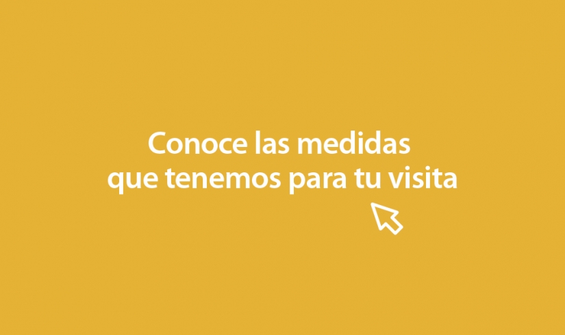 Información importante para tu visita