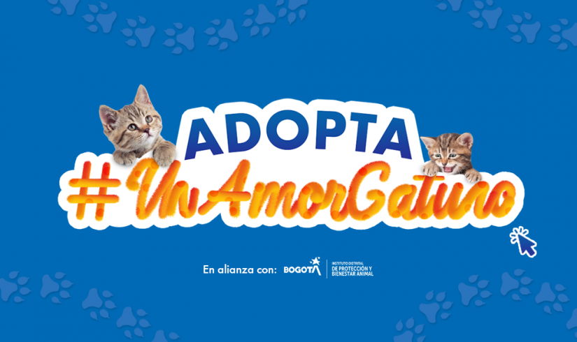 Jornada de Adopción - #UnAmorGatuno