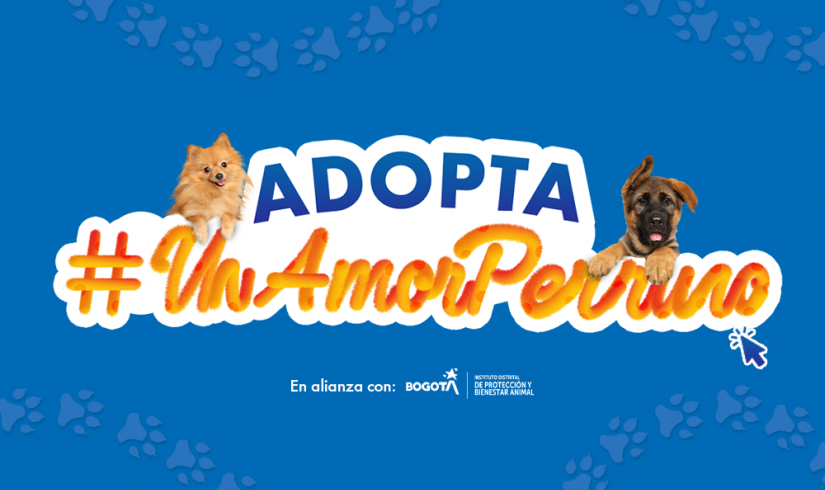 Jornada de adopción Canina en Centro Mayor